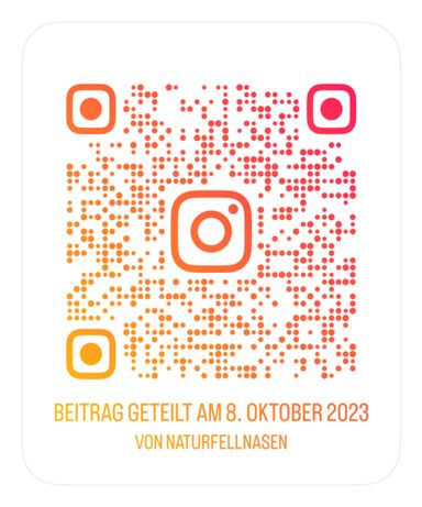 Ziege Anton mit Hautproblemen 